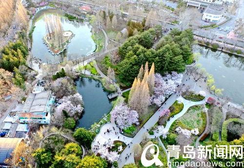 中山公园最新爆料信息,神秘古建筑群惊现，历史之谜待解